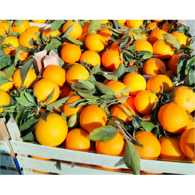 Spremuta d'Arancia Bionda di Sicilia, Prodotti